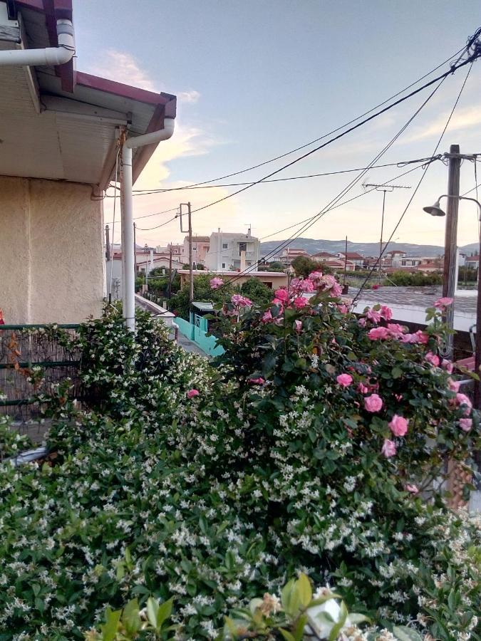 沃拉哈蒂Cozy House 3公寓 外观 照片